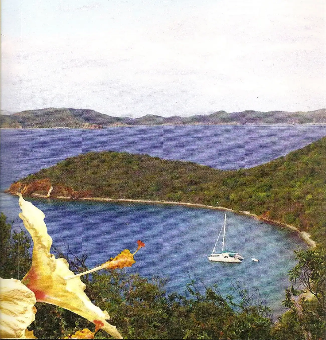 Caribbean Charter Captain cover photo